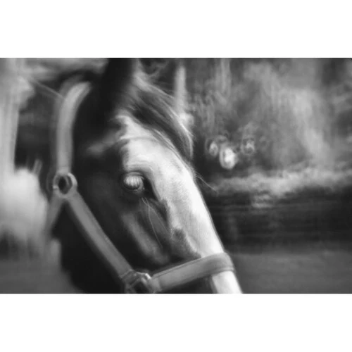 Lensbaby Fixed Body with Creative Bokeh Optic for Micro Four Thirds - Image 3