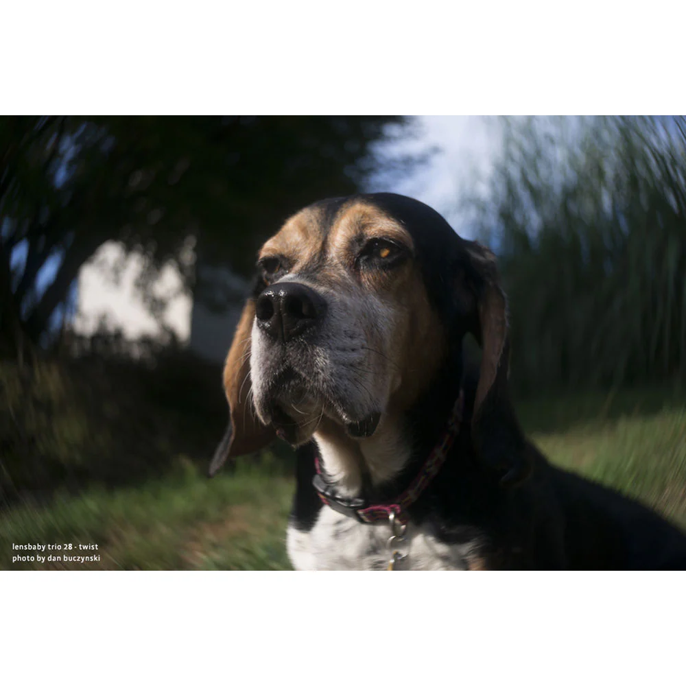 Lensbaby Trio 28mm f/3.5 Lens for Micro Four Thirds - Image 8